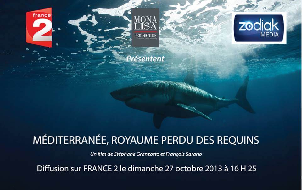 Un documentaire des plus attendus sur les requins de Méditerranée !