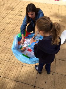 Sensibilisation requin Ailerons