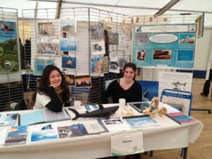stand ailerons 2 association requin