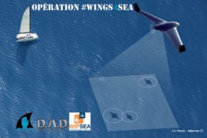 Wings4sea Ailerons drone requin raie