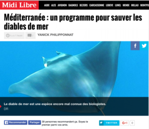 diable de mer mobula mobular drone
