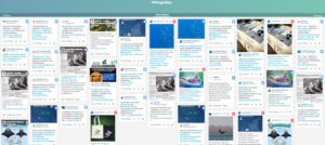 #wing4sea ailerons mobula mobular diable de mer