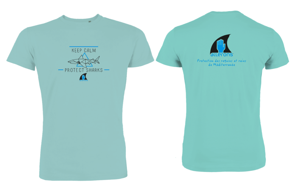 bleu caribbéen ailerons