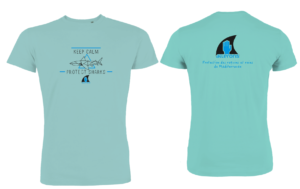 bleu caribbéen ailerons