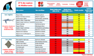 Espèces de requin et raie en danger critique d'extinction uicn