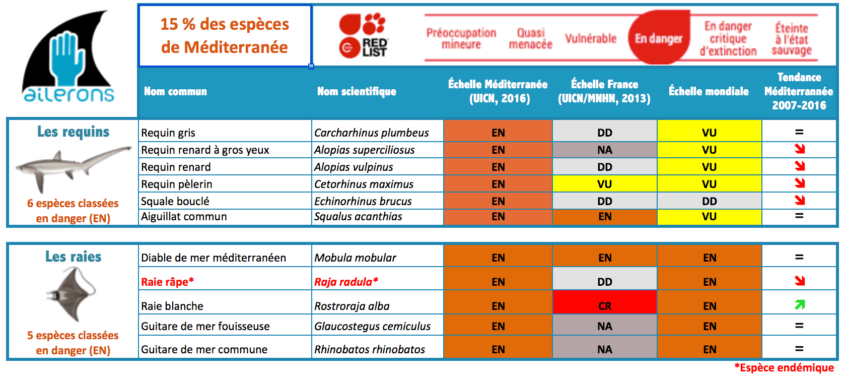 Espèces de requins et raies méditerranée menacées d'extinction uicn