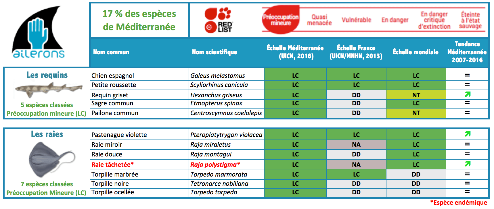 Espèces de requins et raies méditerranée préoccupation mineure uicn