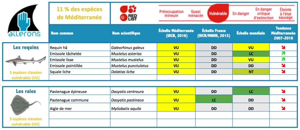 Espèces de requins et raies vulnérables uicn