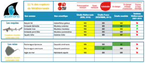 Espèces de requins et raies vulnérables uicn