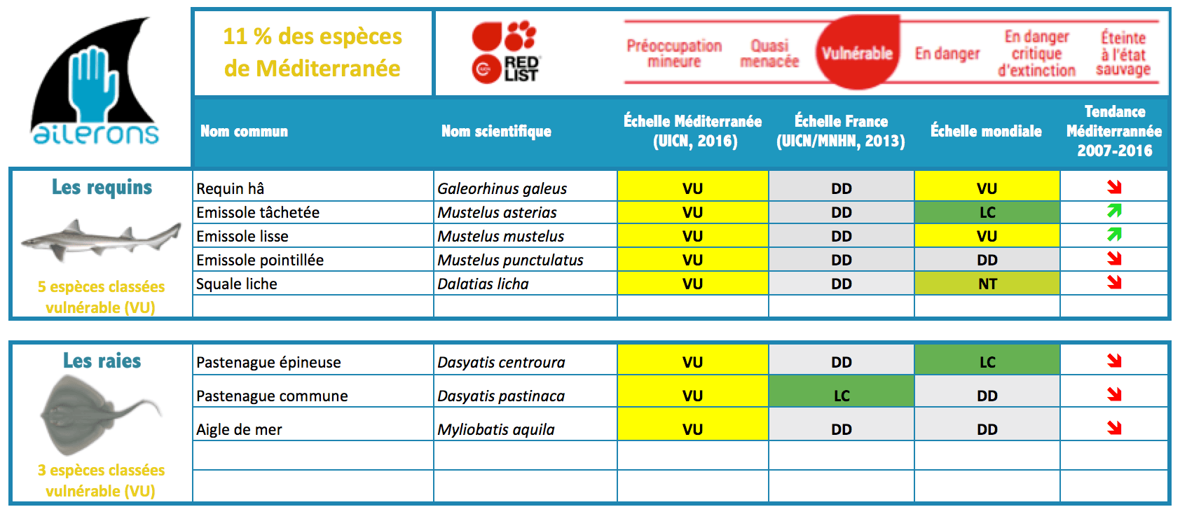 Espèces de requins et raies vulnérables uicn