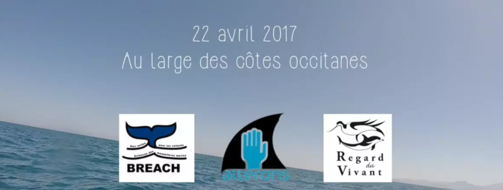 requin pèlerin méditerranée association ailerons apecs