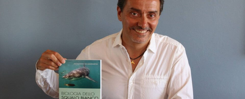 Interview : Alessandro de Maddalena nous parle de l'érosion des populations de grands requins blancs en Afrique du Sud !