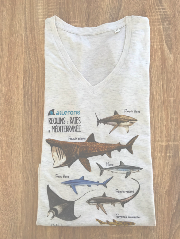 t-shirt requin