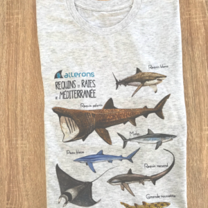 requin dessins tshirt