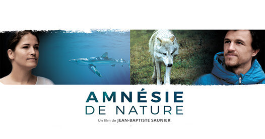 Sortie du DVD "Amnésie de nature"