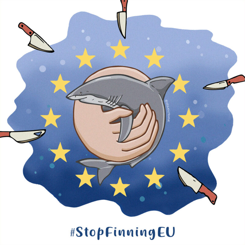 Victoire pour les requins en Europe !