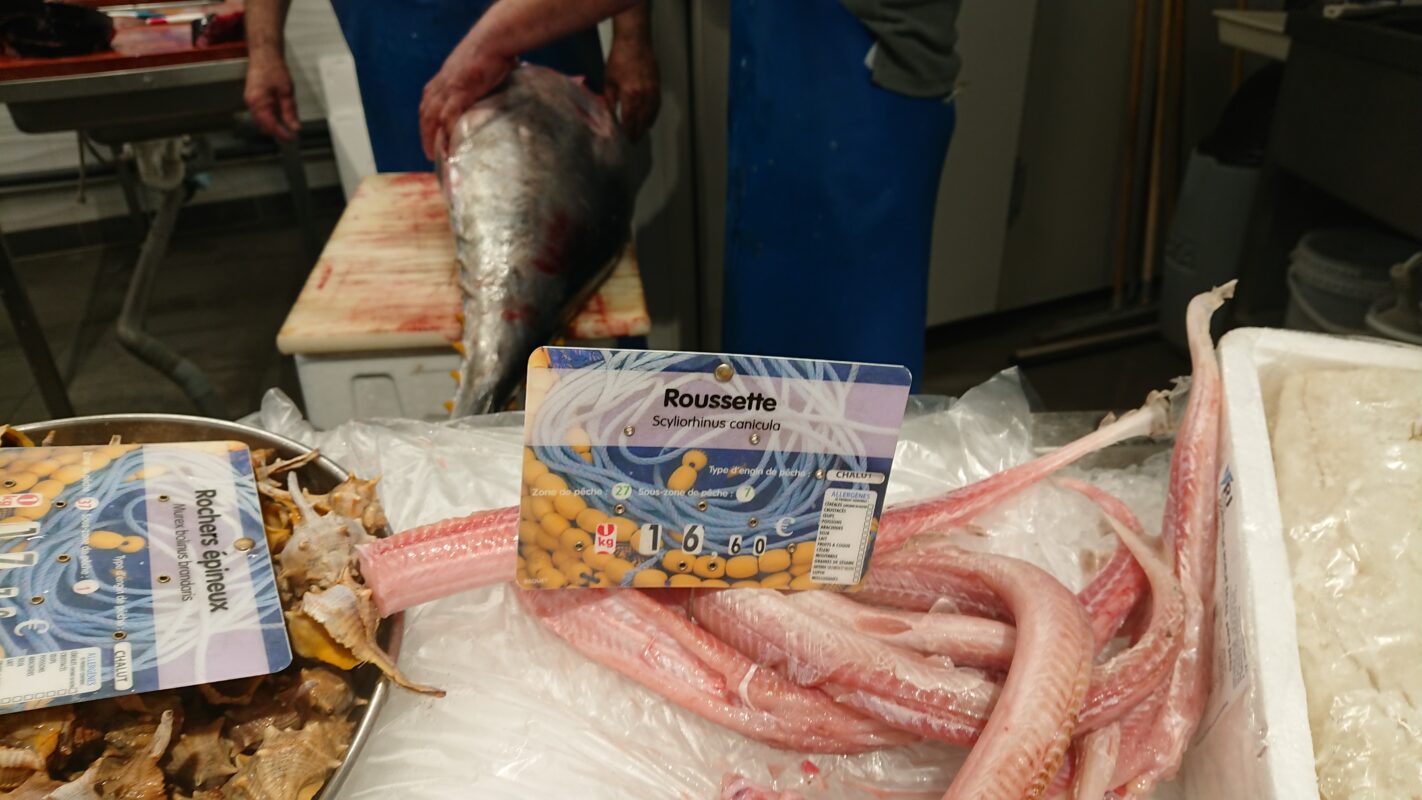 Échantillonnage dans les poissonneries - Projet Mislabeling