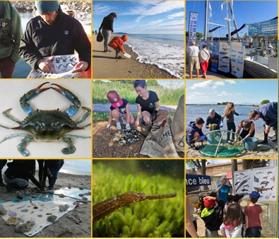 Venez découvrir les nouvelles espèces du littoral méditerranéen le 09 septembre !