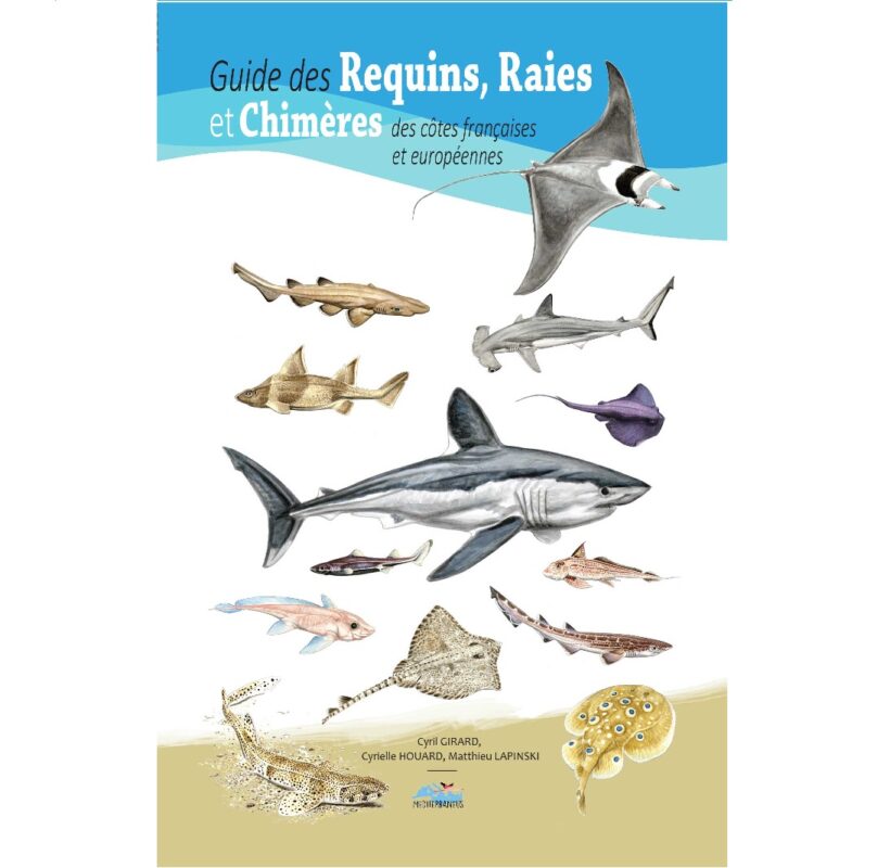 Guide Requins, Raies et Chimères (côtes françaises et européennes) - M.  Lapinski, C. Girard, C. Houard